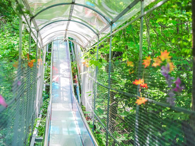 南昌植物园.jpg